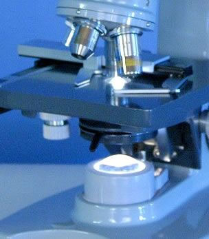 asbestos testing through microscope