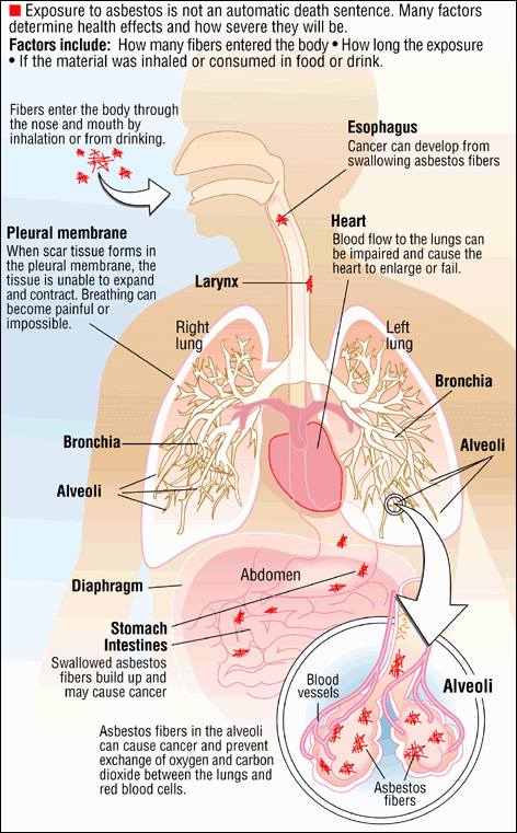 how do you test for congestive heart failure in dogs