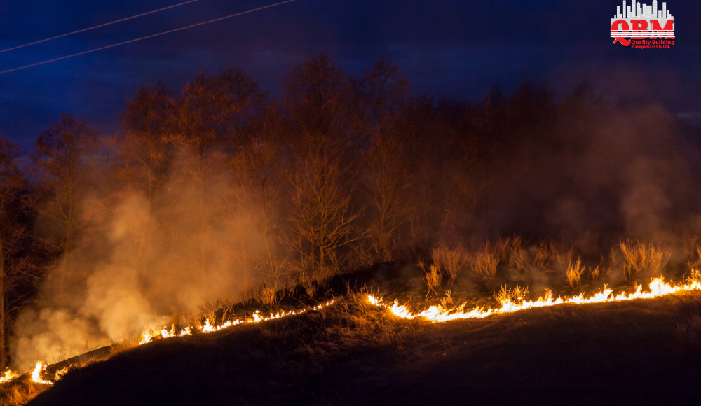 Bushfire Safety Training for Strata Properties: Preparing Your Team